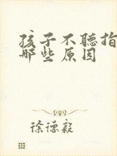 孩子不听指令有哪些原因