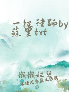 一级律师by木苏里txt