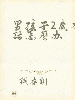 男孩子2岁不说话怎么办