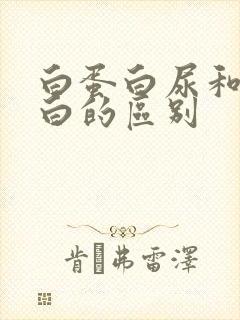 白蛋白尿和尿蛋白的区别