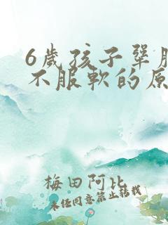 6岁孩子犟脾气不服软的原因