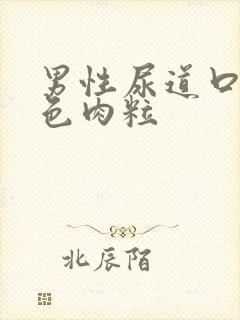 男性尿道口有红色肉粒