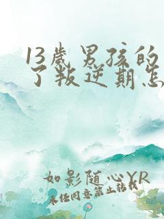 13岁男孩的到了叛逆期怎么教