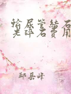 输尿管结石钬激光碎石费用