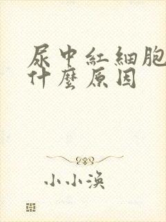 尿中红细胞高是什么原因