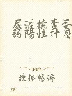 尿液检查蛋白质弱阳性什么意思