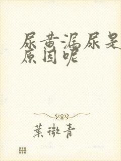 尿黄漏尿是什么原因呢