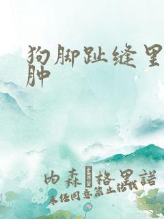 狗脚趾缝里面红肿