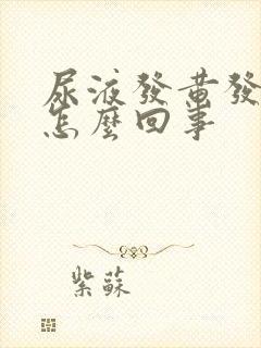 尿液发黄发浑是怎么回事