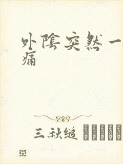 外阴突然一阵刺痛