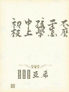 初中孩子不去学校上学怎么办