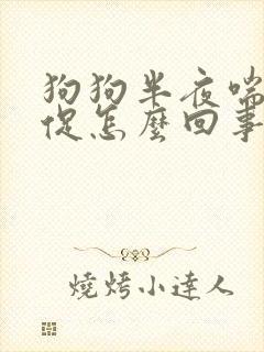 狗狗半夜喘气急促怎么回事