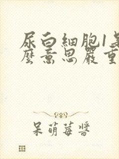 尿白细胞1是什么意思严重吗