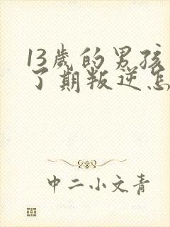 13岁的男孩到了期叛逆怎么教