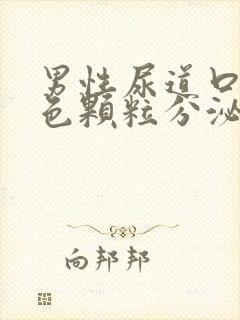 男性尿道口有白色颗粒分泌物