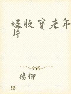 吸收宝老年纸尿片