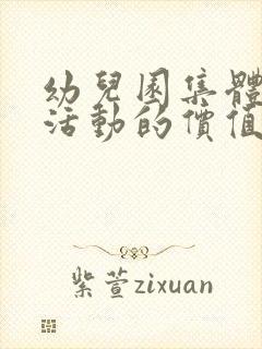 幼儿园集体教学活动的价值