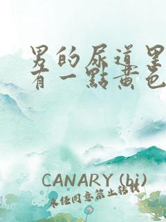 男的尿道里痒,有一点黄色分泌物