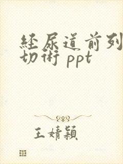 经尿道前列腺电切术 ppt