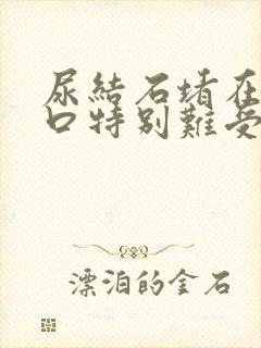 尿结石堵在尿道口特别难受怎么办