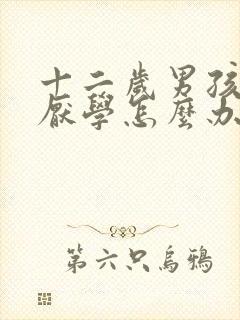 十二岁男孩叛逆厌学怎么办