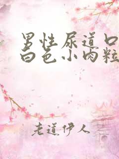 男性尿道口边有白色小肉粒