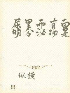 尿里面有白色透明分泌物是怎么回事