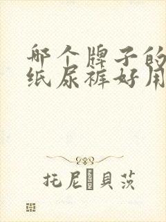 哪个牌子的成人纸尿裤好用又实惠