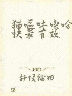 猫呕吐吃啥药最快最有效