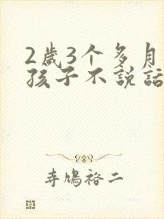 2岁3个多月的孩子不说话怎么回事