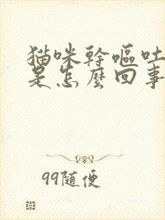 猫咪干呕吐黄水是怎么回事