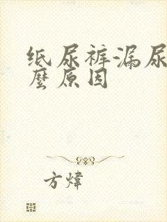 纸尿裤漏尿是什么原因