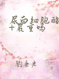 尿白细胞酯酶1+严重吗