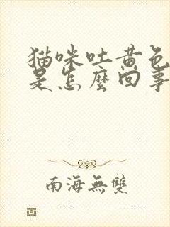 猫咪吐黄色液体是怎么回事吃什么药