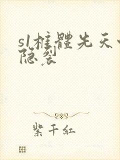 s1椎体先天性隐裂