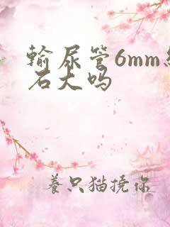 输尿管6mm结石大吗