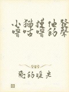 小猫摸他发出咕噜咕噜的声音