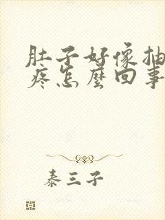 肚子好像抽筋的疼怎么回事