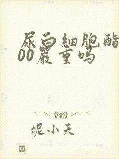 尿白细胞酯酶500严重吗