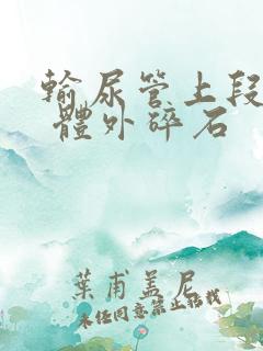 输尿管上段结石 体外碎石