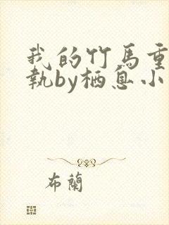 我的竹马重度偏执by栖息小说