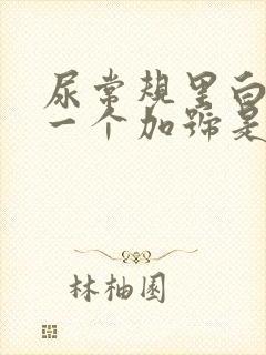 尿常规里白细胞一个加号是怎么回事