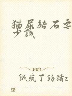 猫尿结石要花多少钱