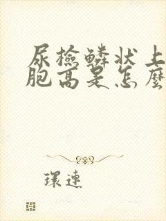 尿检鳞状上皮细胞高是怎么回事