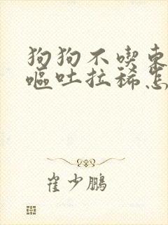 狗狗不吃东西还呕吐拉稀怎么办