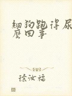 细狗跑得尿血怎么回事