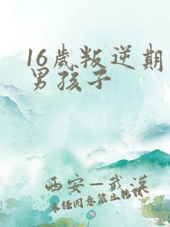 16岁叛逆期的男孩子