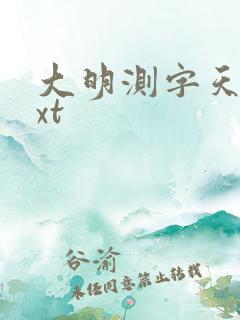 大明测字天师txt