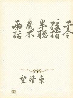 两岁半孩子不说话不听指令