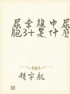 尿常规中尿白细胞3+是什么意思